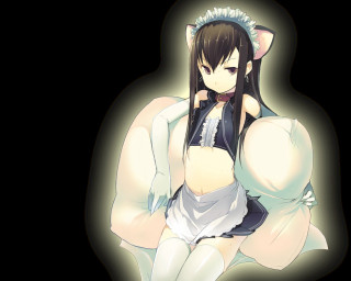 Woman white dress chair cat - a cat ear free wallpaper