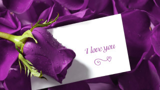 Purple rose love note card - a note free wallpaper