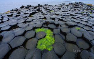 Large rock formation green algae - fluorescent free wallpaper