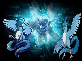 Three blue birds white wings - white wing free wallpaper