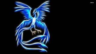 Blue bird wings spread dark - a blue bird free wallpaper