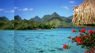 Tropical island thatched roof flowers - roof free wallpaper