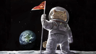 Cat astronaut flag moon planet 3 - the moon next free wallpaper