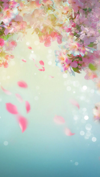 Pink flowers floating bubbles water - a blue sky background free wallpaper for mobile