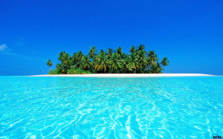 Small island palm trees ocean 16 - a clear blue sky above free wallpaper