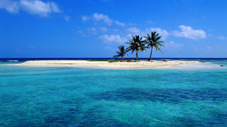 Small island palm tree ocean - a small island free wallpaper