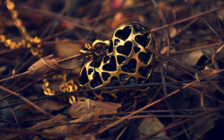 Heart shaped object leaves twigs - alexander mcqueen free wallpaper