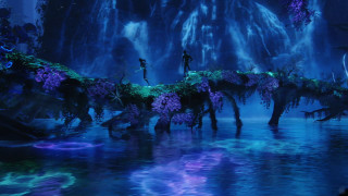Avatar man woman bridge water - matte fantasy painting free wallpaper for desktop