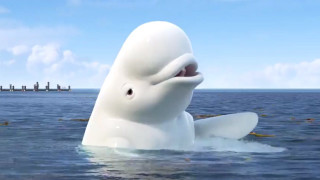 Large white whale ocean pier - the ocean next free wallpaper