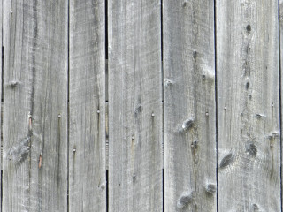 Wooden fence bird beach monochrome - the fence free wallpaper