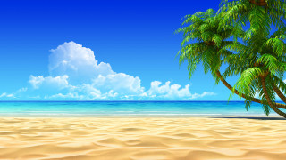 Palm tree sandy beach blue 5 - illustration free wallpaper