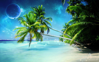 Tropical beach palm trees moon - a blue ocean free wallpaper for desktop