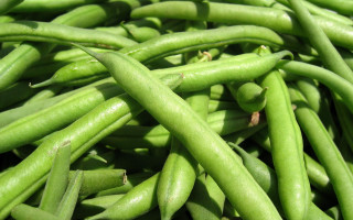 Green beans pile long vegetables - thin free wallpaper