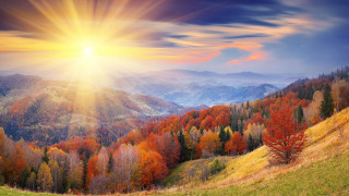 Sunset mountain range colorful trees - a beautiful sunset over a mountain range free wallpaper