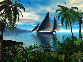 Sailboat water palm trees bird - a sailboat free wallpaper