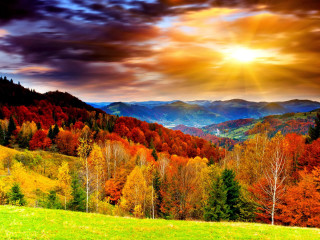 Scenic mountain range trees foreground - scenic free wallpaper