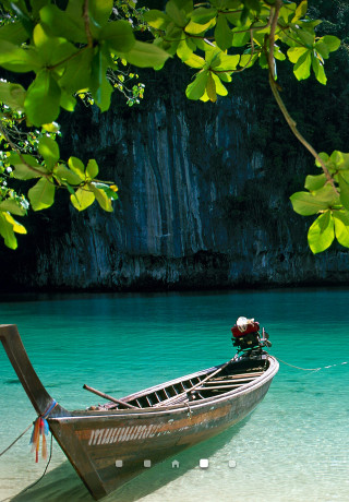 Boat beach water tree branch - ding yunpeng free wallpaper for mobile