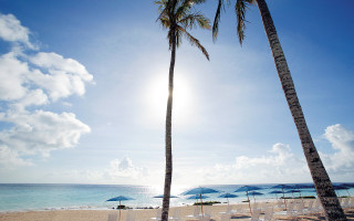 Beach palm tree chairs umbrellas - the cloud above free wallpaper
