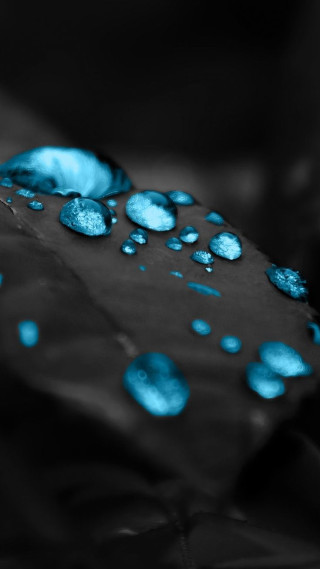 Blue umbrella water droplets black - free textures wallpaper