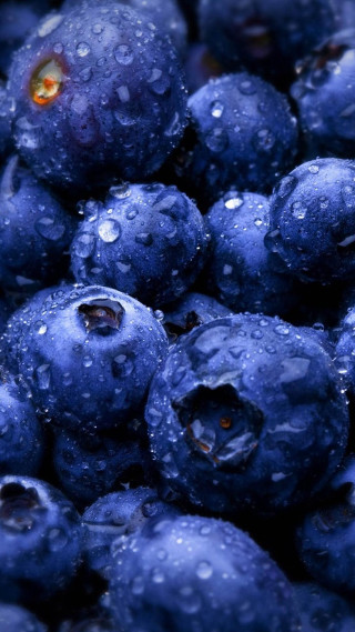 Blueberries waterdroplets yelloweye macro bubble - water droplet free wallpaper for mobile