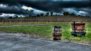 Barrel road grass field hill - a barrel free wallpaper