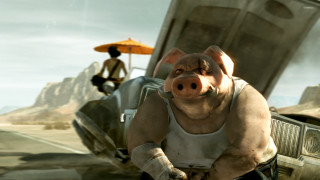 Pig car man truck sitting - a pig free wallpaper