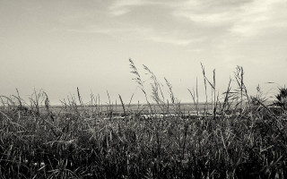 Black white field grass lighthouse - photo of a field free wallpaper