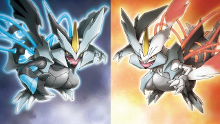 Two pokemon white grey red - the other free wallpaper