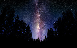 Night sky stars trees foreground 3 - a bright light in the middle free wallpaper