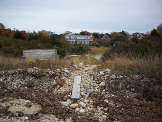 Bench rocky field forest trees - a house free wallpaper