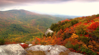Mountain autumn forest maple leaves - a view of a mountain range free wallpaper for desktop