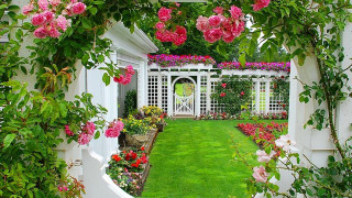 Garden fence roses lawn gate - a white door free wallpaper