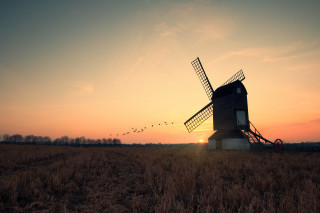 Windmill field birds flying sunset - a windmill in a field free wallpaper