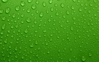 Green background water drops green - water drop free wallpaper
