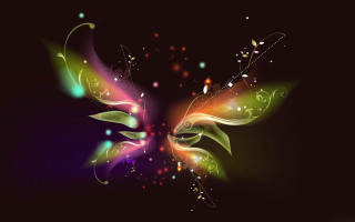 Colorful butterfly black background white 2 - a colorful butterfly free wallpaper