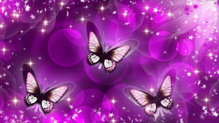 Butterflies purple background stars bubbles - two butterfly free wallpaper