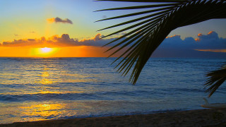 Sunset ocean palm tree boat 2 - a sunset over the ocean free wallpaper for desktop