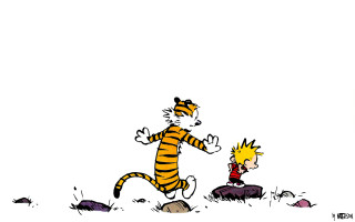 Tiger running person rock background - bill watterson free wallpaper