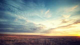 Field sunset clouds sky background - cinematic landscape free wallpaper
