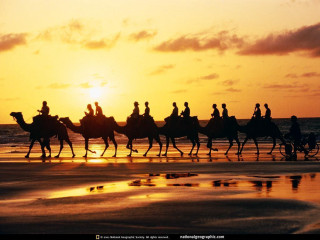 Beach sunset horseback riders silhouette - the horse free wallpaper