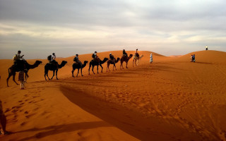 Camel ride desert group people - the desert free wallpaper