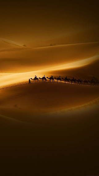 Camel riders desert sunset dawn - free landscape wallpaper for mobile