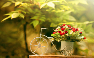 Flower pot bike decoration garden - a bike free wallpaper