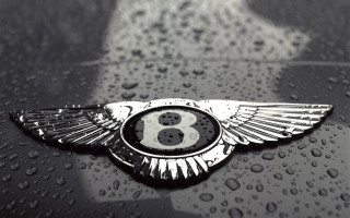 Bentley emblem rain water drops - luxury free wallpaper