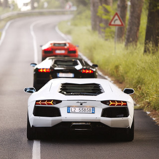 Sports cars road forest symmetry - free cars wallpaper for tablet