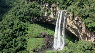 Waterfall forest river bridge nature - underneath free wallpaper for desktop