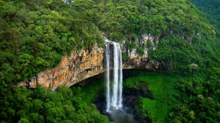 Waterfall above forest bridge lush - free forest wallpaper for desktop