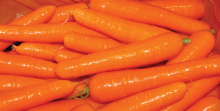 Pile carrots plastic container green - plastic free wallpaper