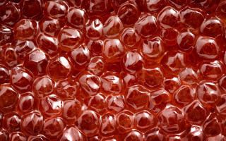 Red plastic holed object black - plastic free wallpaper