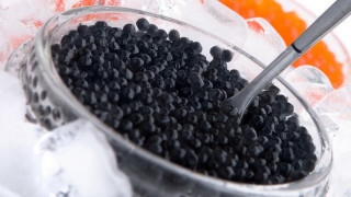 Bowl black beans oranges ice - plastic free wallpaper